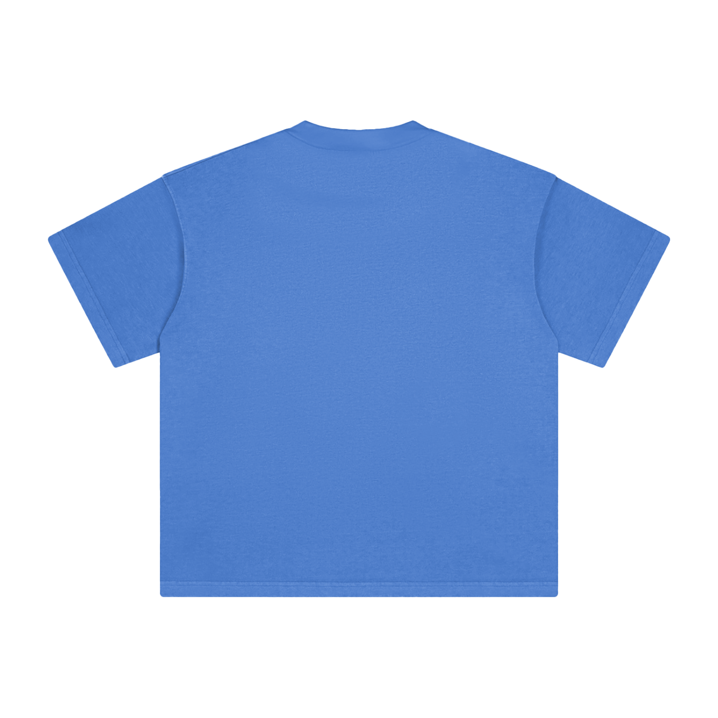 sardinh,sardinh shirt,vintage washed tshirt,sardine shirt